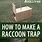 DIY Raccoon Trap