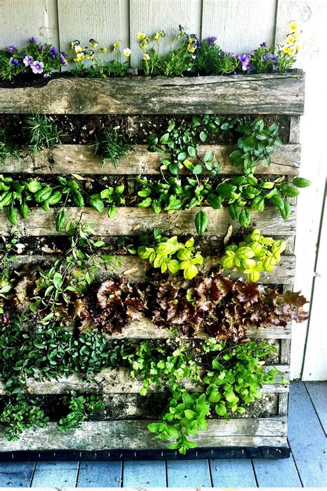 DIY Vertical Garden Wall