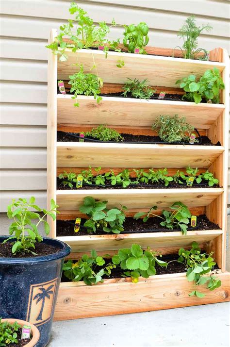 DIY Vertical Herb Garden