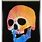 Damien Hirst Skull Painting