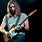 David Gilmour Guitar