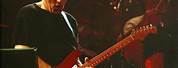David Gilmour Pulse Concert