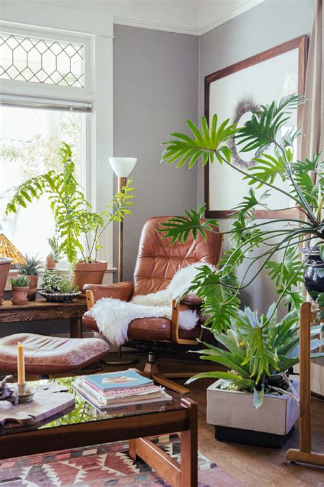 Decorate Your House with Plants