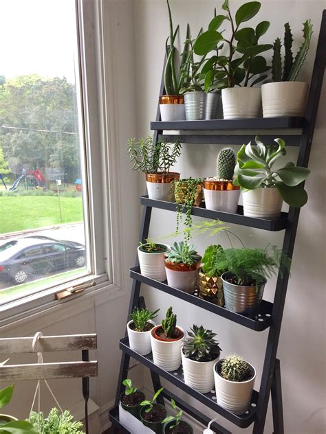 Decorating Plant Shelves