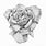 Detailed Drawing of a Rose