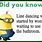 Did You Know Funny Quotes