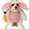 Dog Bunny Costume