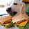 Dog Eating Hamburger