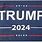Donald Trump 2024 Flag