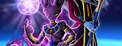 Dragon Ball Z Lord Beerus and Whis