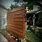 Easy Privacy Fence Ideas