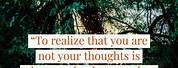 Eckhart Tolle You Are Not Your Thoughts