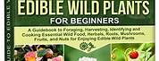 Edible Wild Plant Identification Guide
