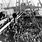 Ellis Island Immigration Ships
