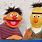 Ernie and Bernie