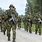 Estonian Defence Forces