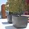 Extra Large Outdoor Tree Planters