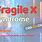 FMR1 Fragile X Syndrome