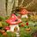 Fairy House Mushroom Garden