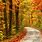 Fall Tree Landscapes