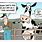 Farm Humor Cartoons