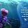 Finding Nemo 2003 DVD Menu