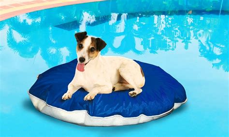Floating Dog Bed