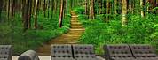 Forest Wall Murals Paint Yourself