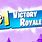 Fortnite #1 Victory Royale