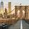 Free Brooklyn Bridge