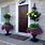 Front Porch Plant Ideas