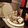 Funny Cat Bathroom