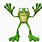 Funny Frog Animation
