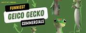 Funny GEICO Gecko Commercials
