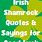 Funny Irish Good Luck Sayings