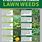Garden Weed Identification Charts