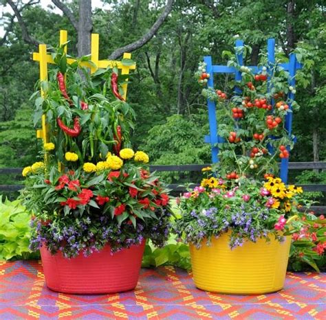 Gardening Idea Vegetable Container Garden