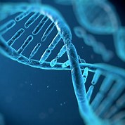 Genes DNA Genetics