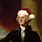 George Washington Christmas Attack