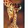 Giraffe Puzzles for Adults