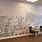Graphic Wall Murals