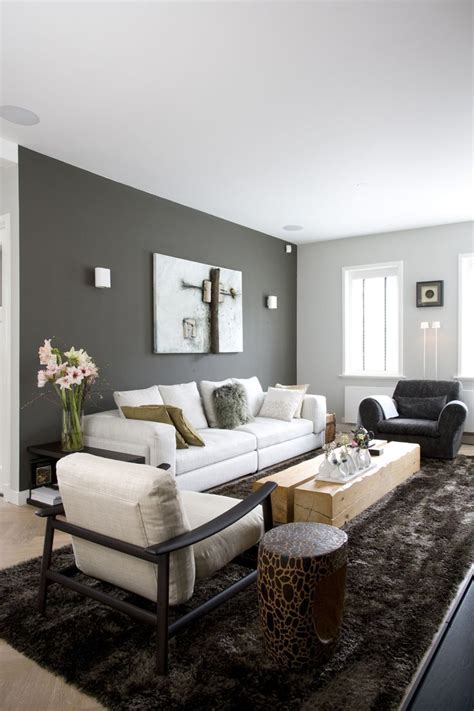 Gray Living Room Accent Wall