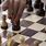 Great Chess Games