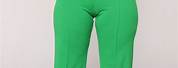 Green Mint Women Dress Pants