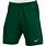 Green Nike Shorts