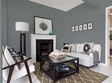 Grey Living Room Wall Paint