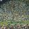 Gustav Klimt Tree Paintings