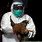 H3N8 Bird Flu