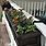 Hanging Fence Planter Boxes