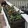 Hanging Planter Boxes Outdoor